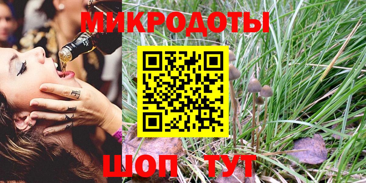 Галлюциногенные грибы прущие грибы Мичуринск