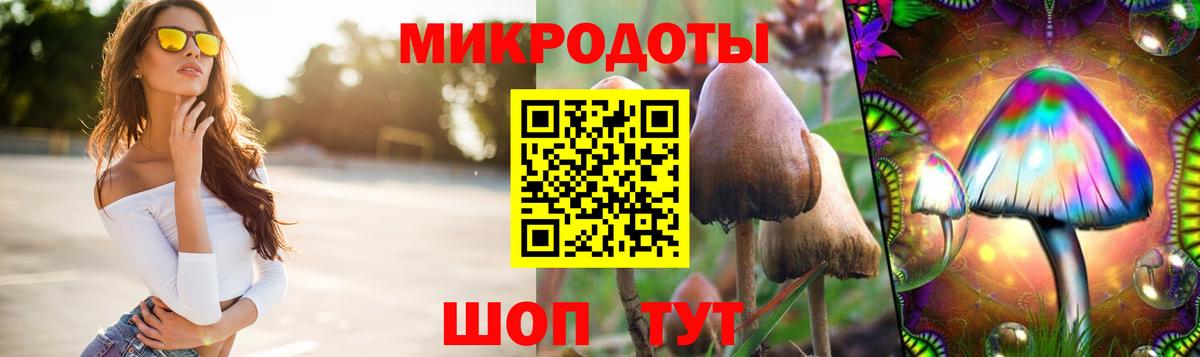 Мичуринск  Псилоцибиновые грибы MAGIC MUSHROOMS  Вход с VPN 